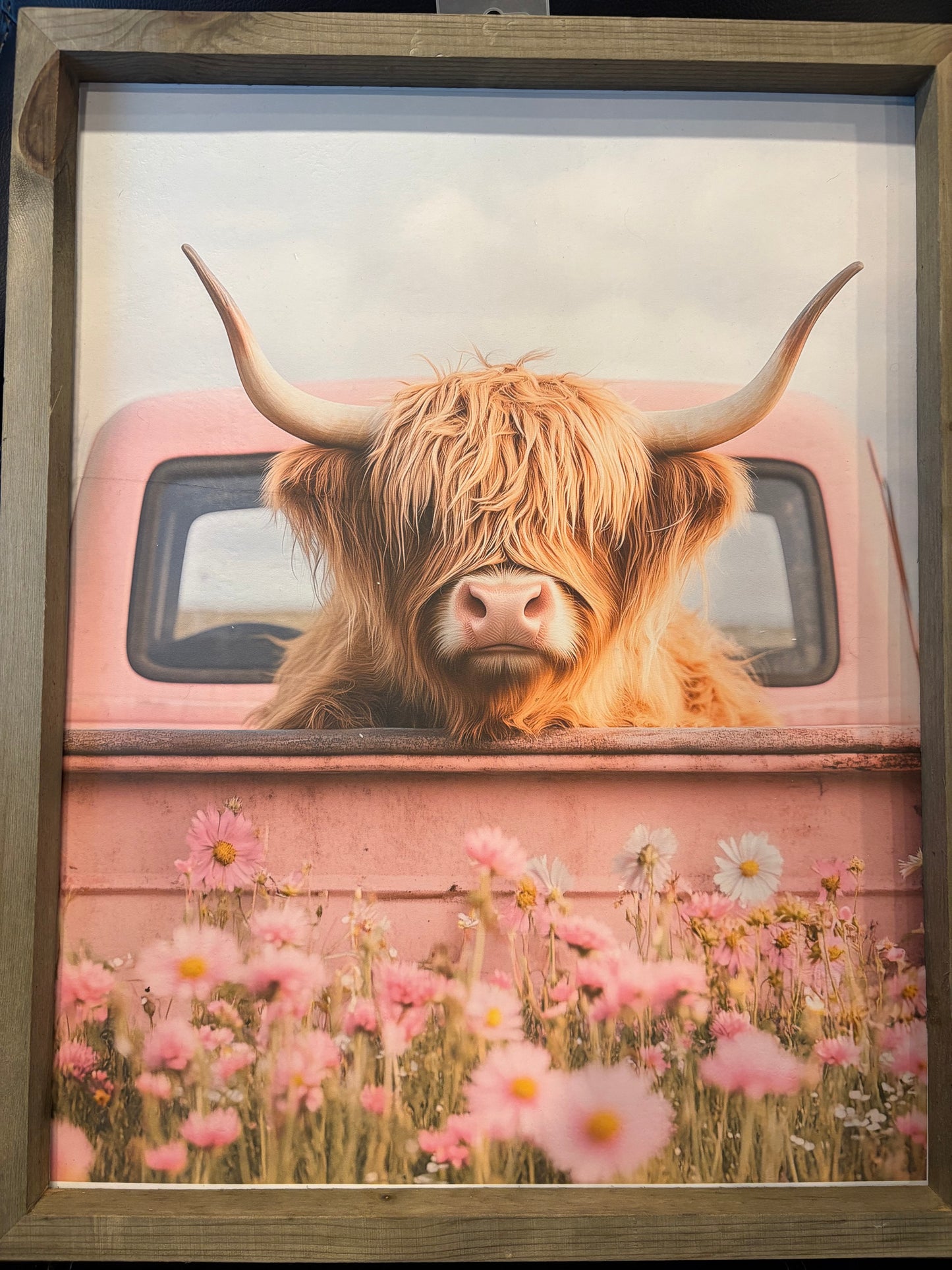 DTF Art Work (Highland Cows)