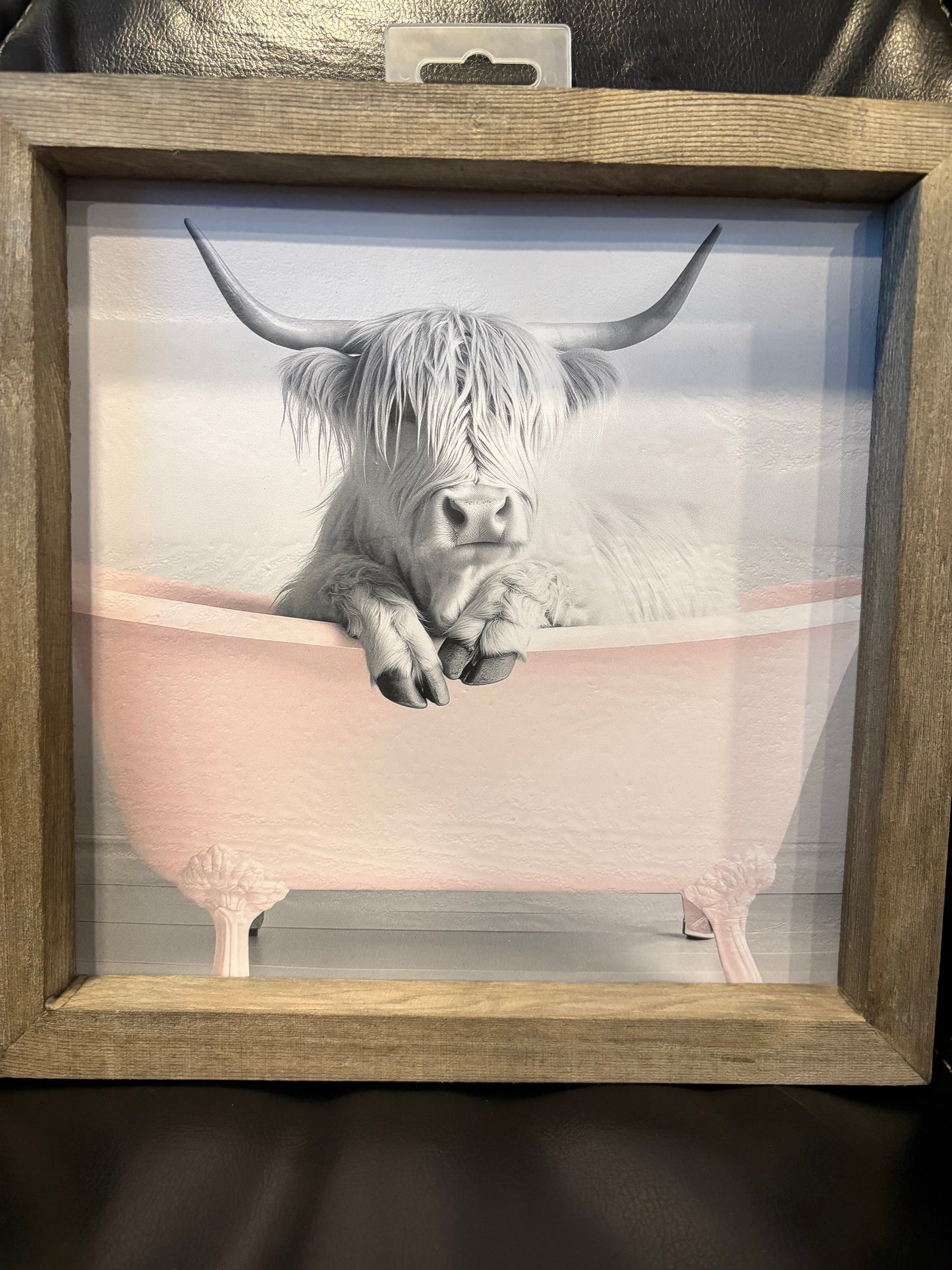 DTF Art Work (Highland Cows)